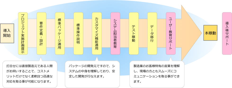 導入ステップ